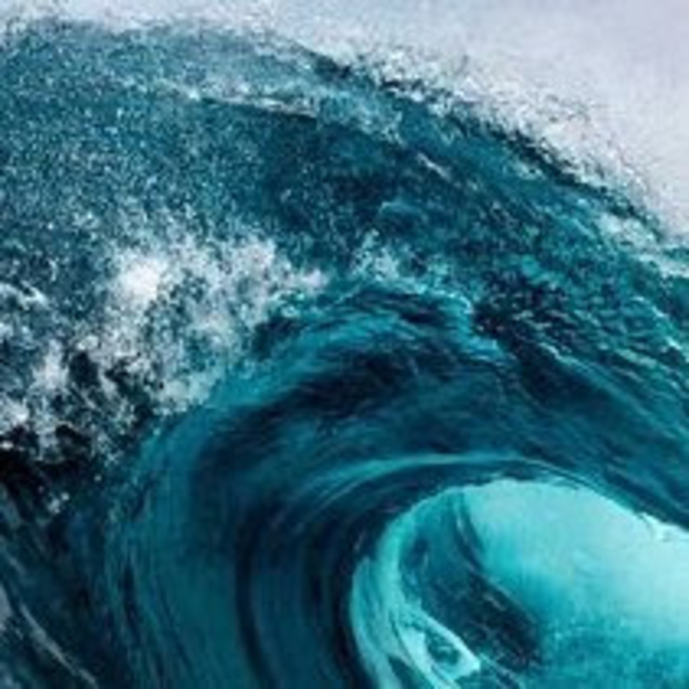 Meet your Posher, Brooklyn